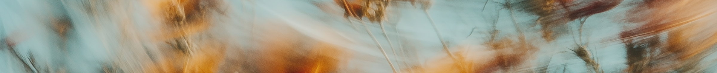 Man riding his bike among trees and gras